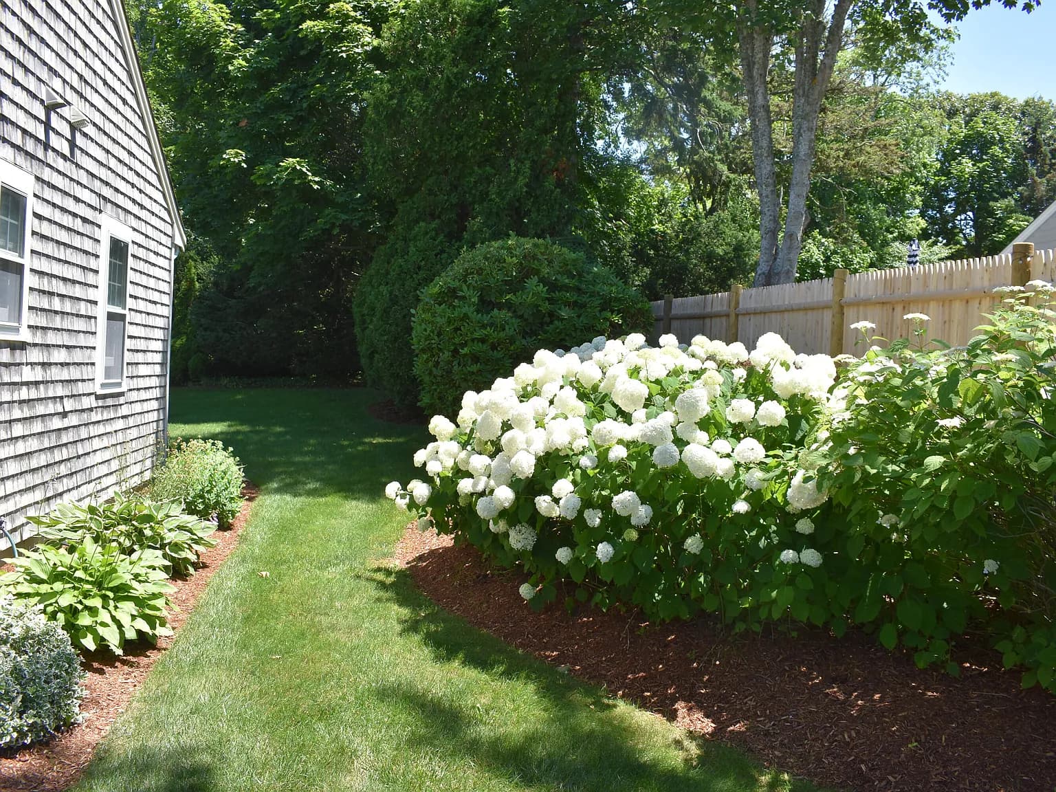 34 Fisk Street - Photo 2