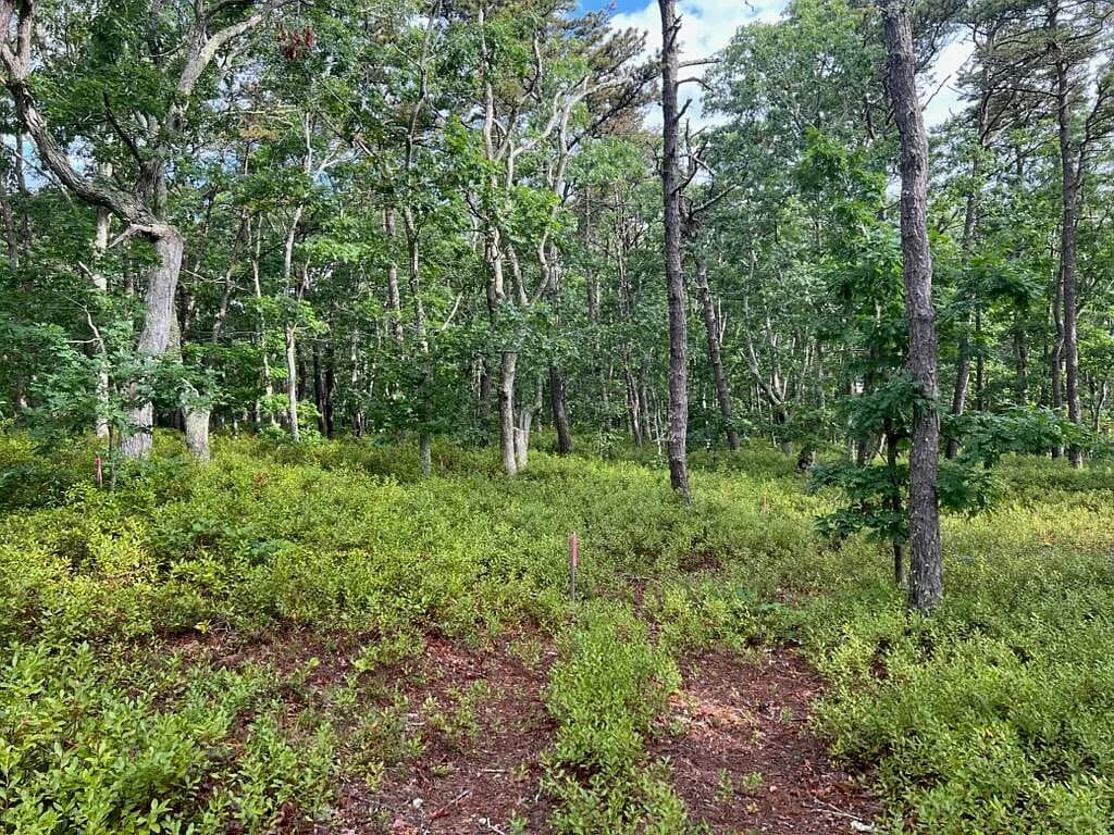 37 Oak Valley Road - Photo 2