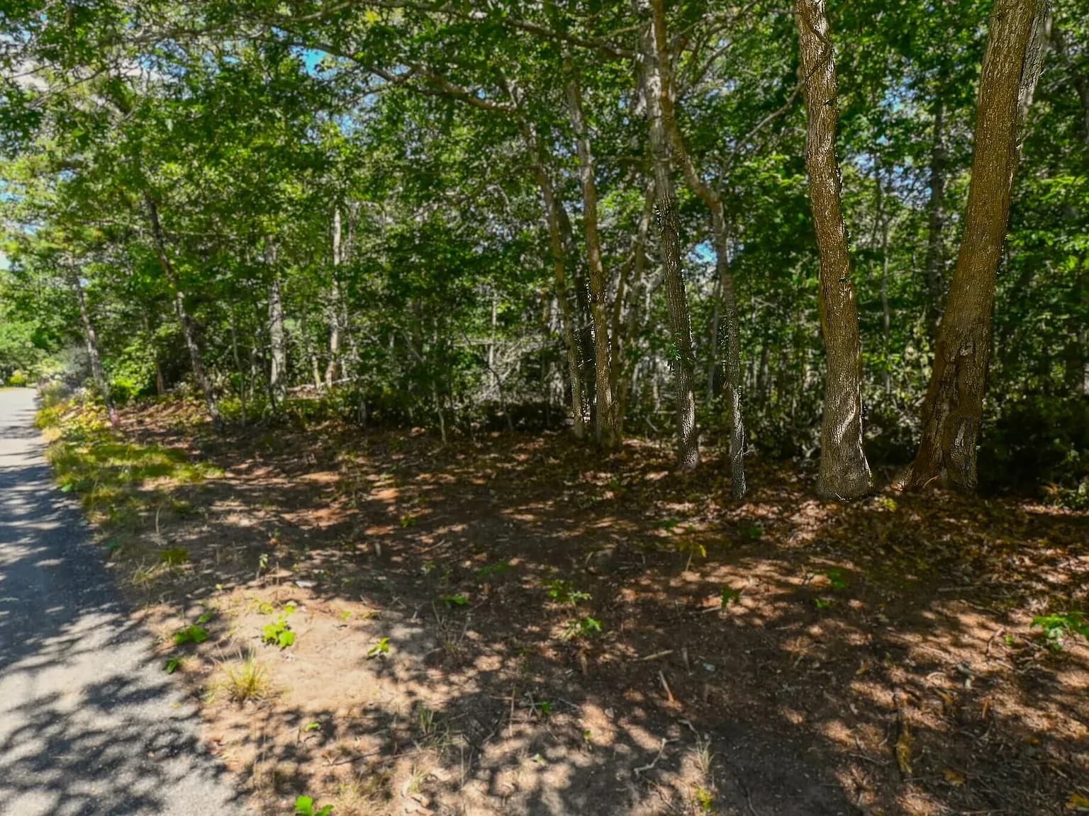 0 Commons Way - Photo 4