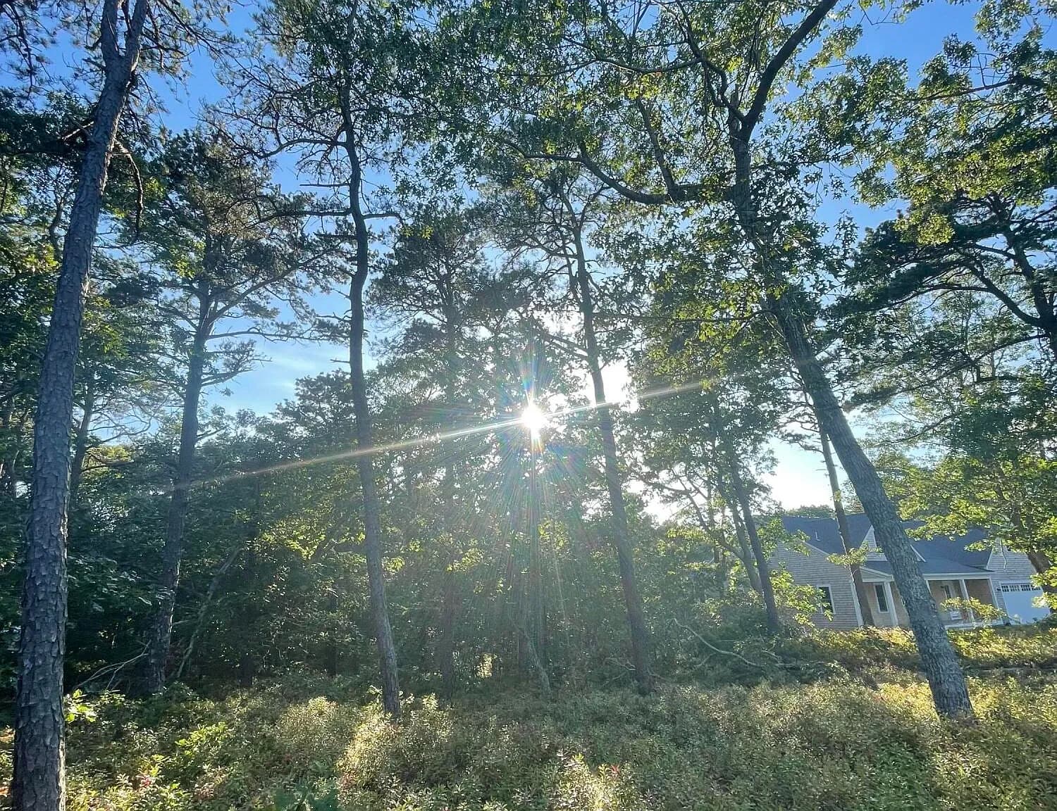 30 Sam Hollow Road - Photo 5