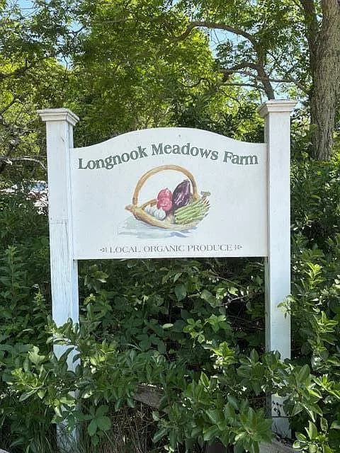 63 Old Kings Highway - Photo 3