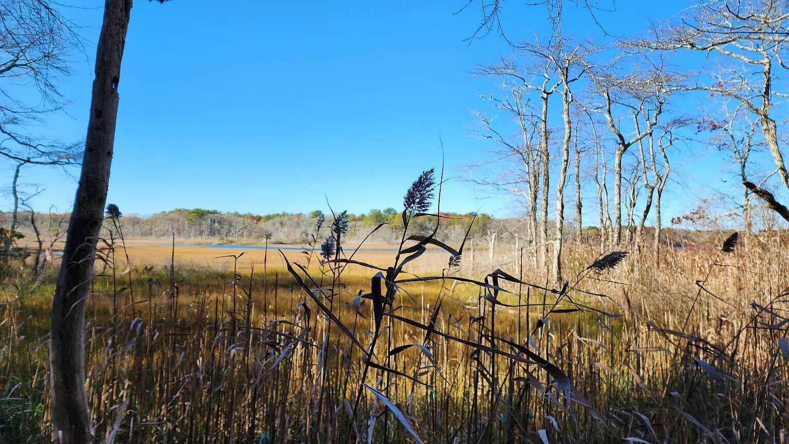 17 Angus Avenue - Photo 6