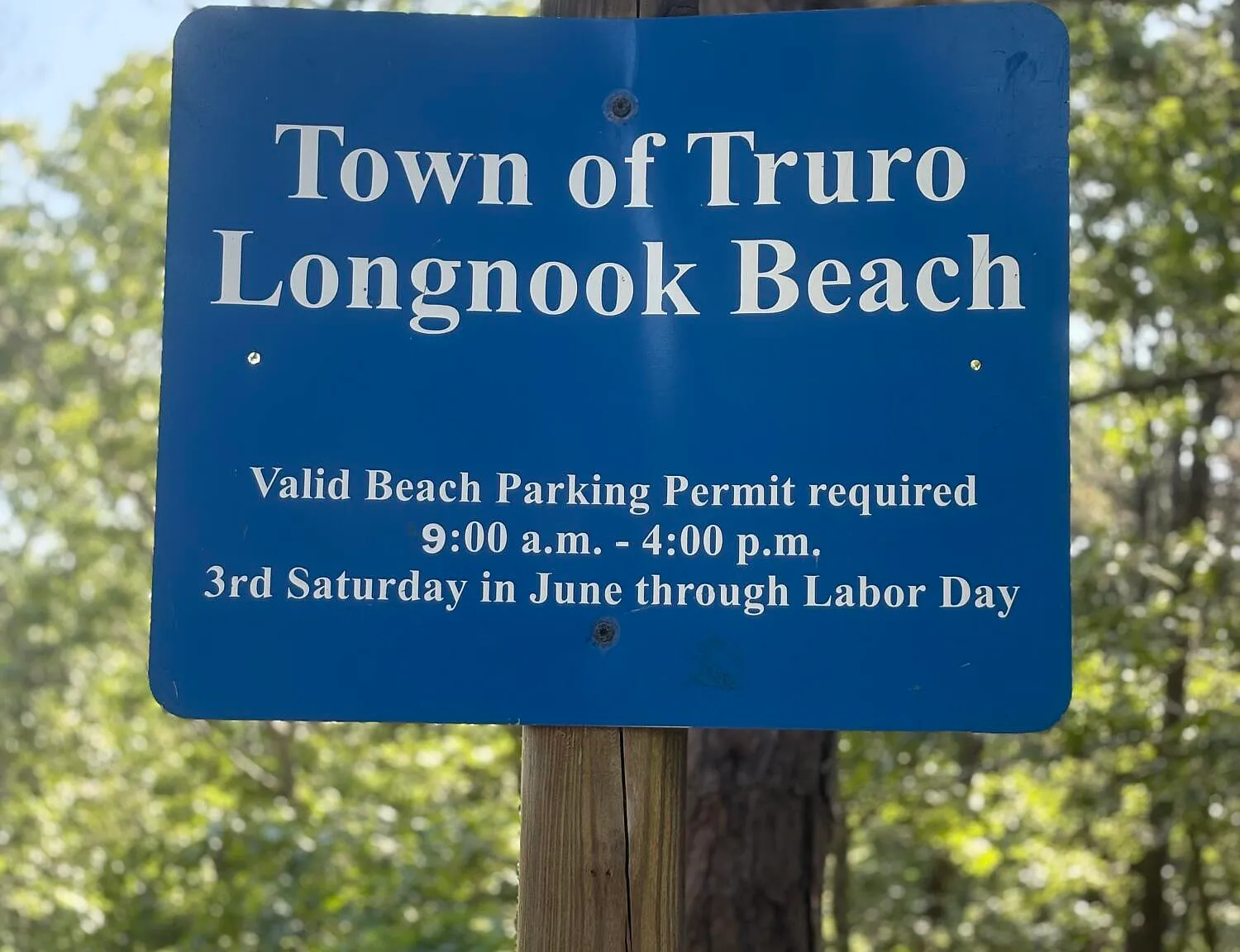 63 Old Kings Highway - Photo 4