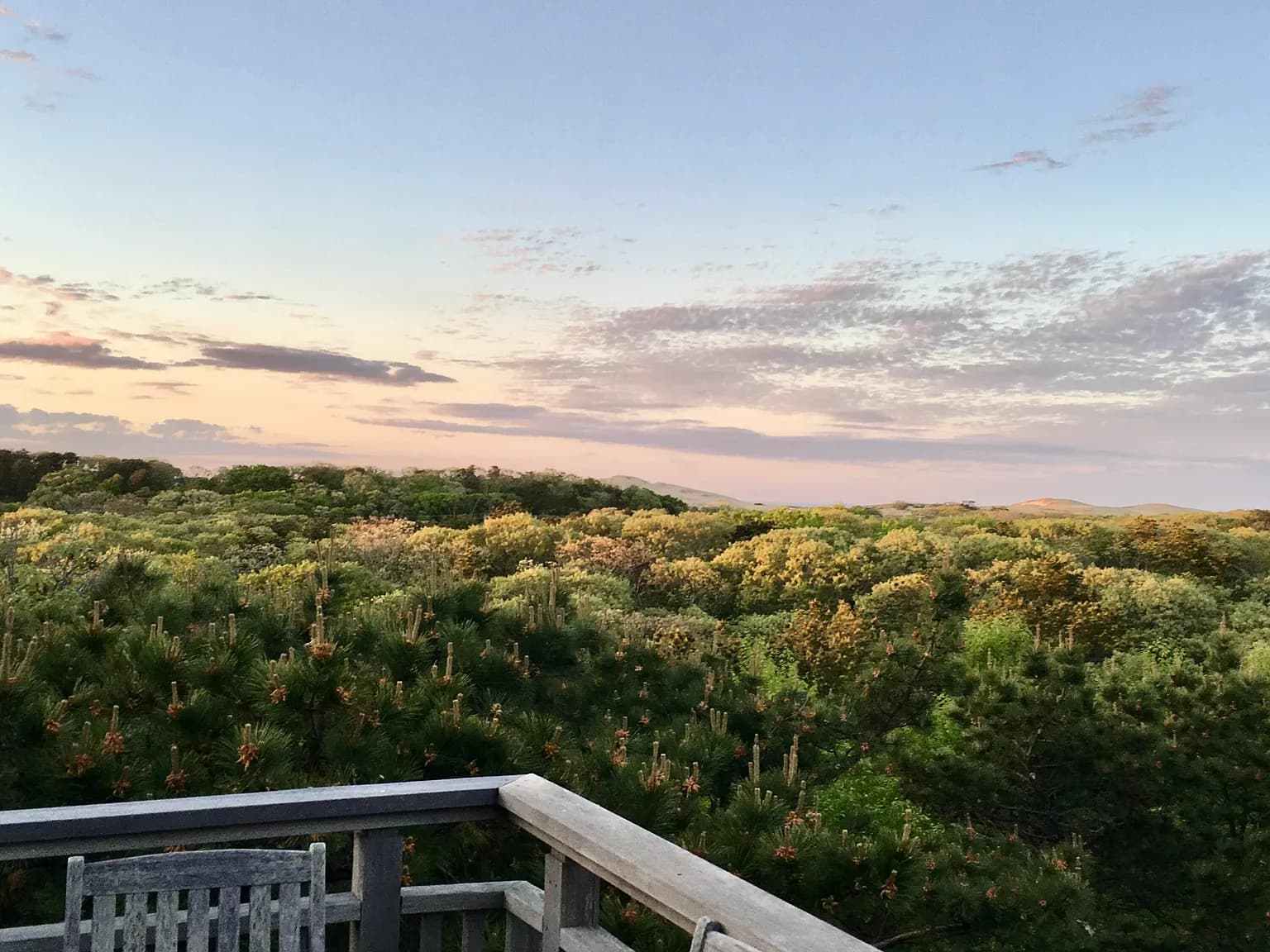 9 Thistlemore Road - Photo 2