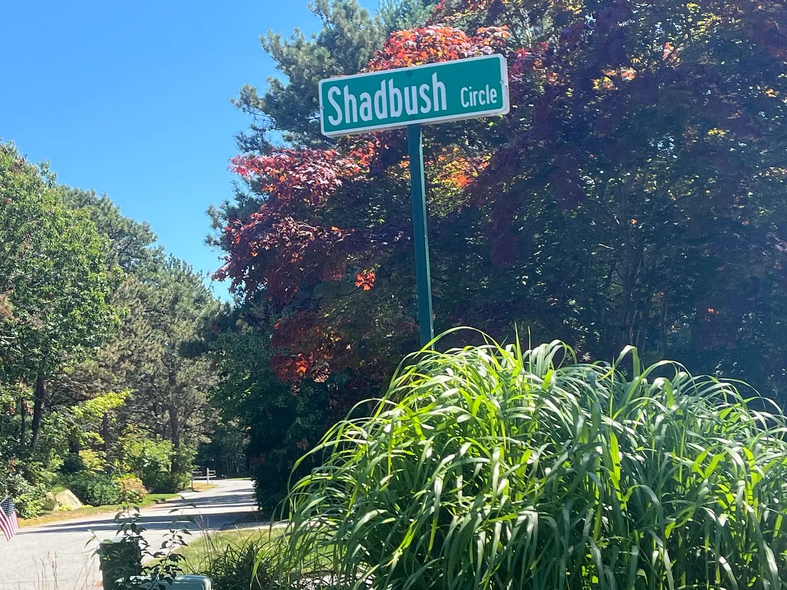 10 Shadbush Circle - Photo 2