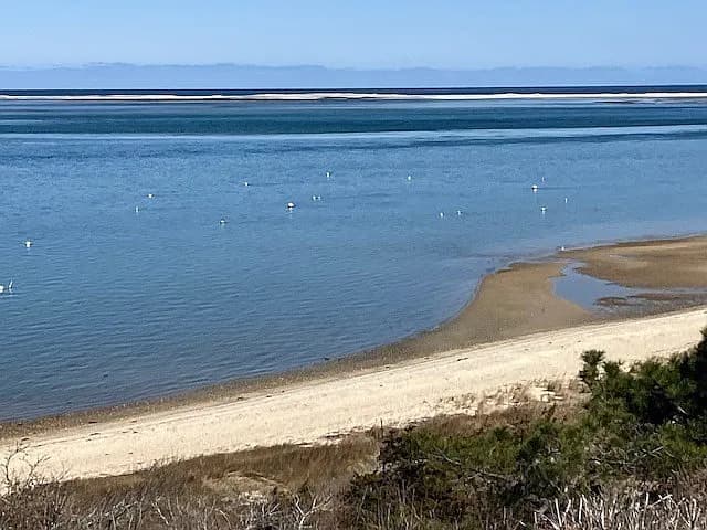 238 Cranberry Ln - Photo 5