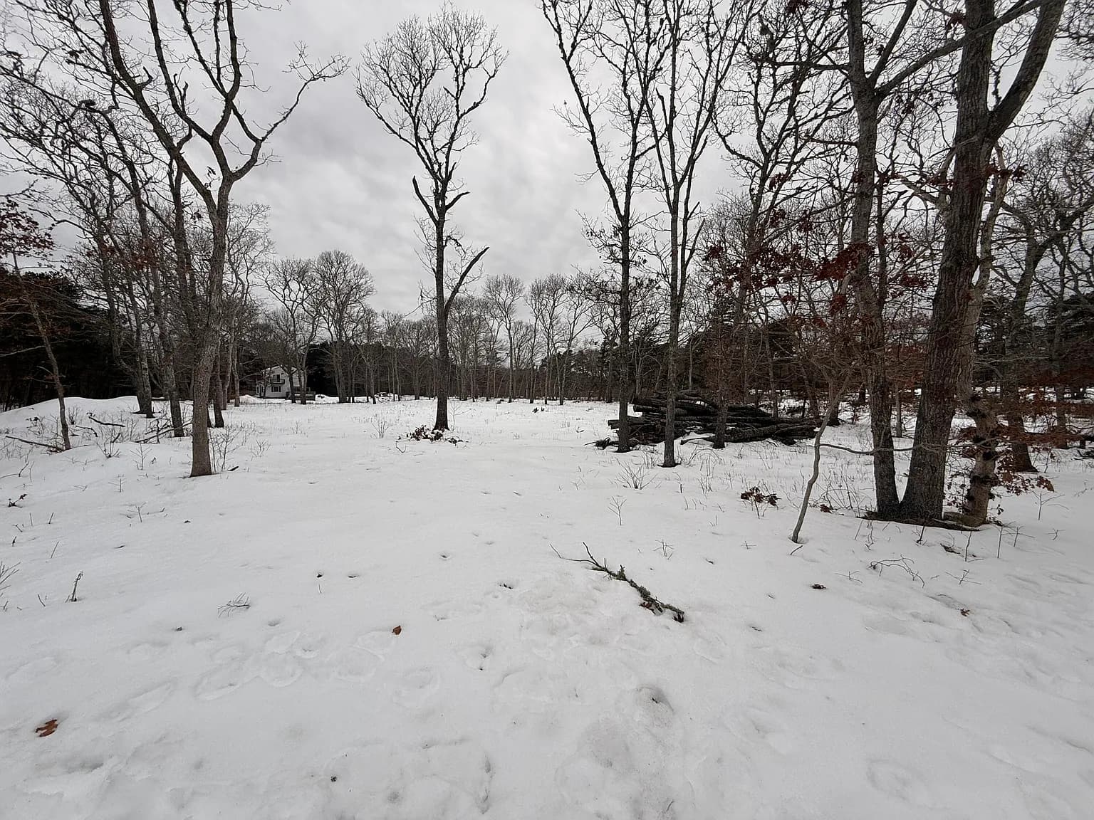 0 Old Chatham rd. Road - Photo 4