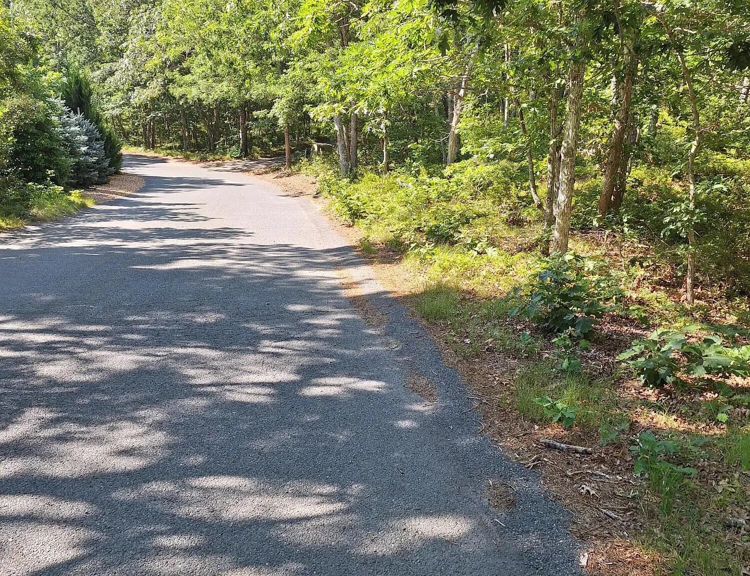 37 Oak Valley Road - Photo 1