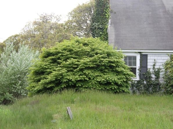 1761 Main Street, Chatham