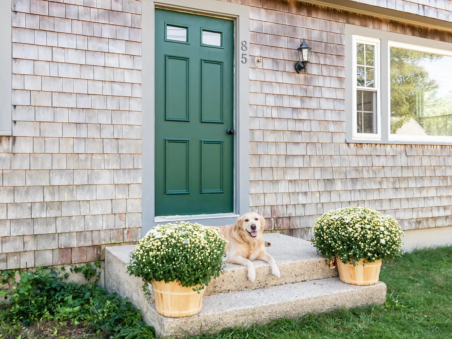 85 Huckleberry Lane - Photo 3