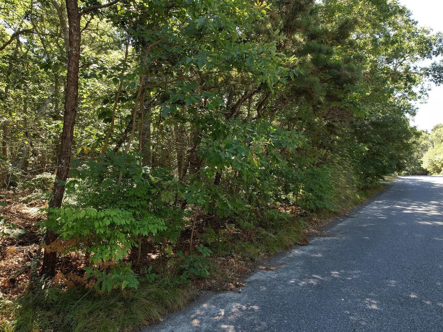 0 Commons Way - Photo 5