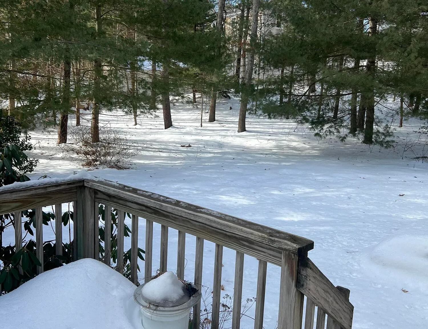 19 Marrick Court - Photo 3