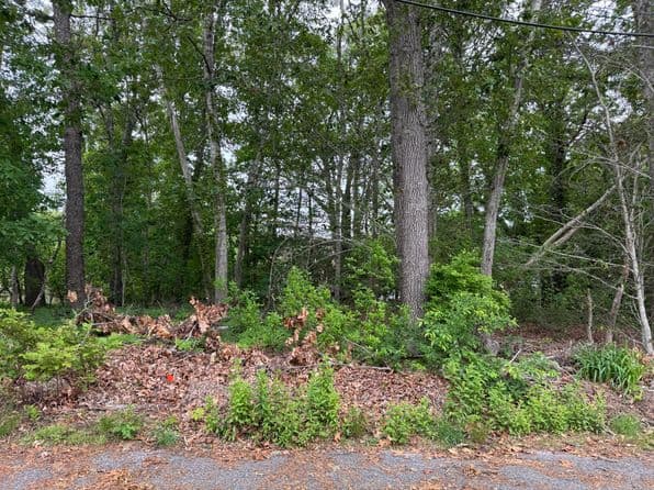 11 Lane Road, Dennis Pt