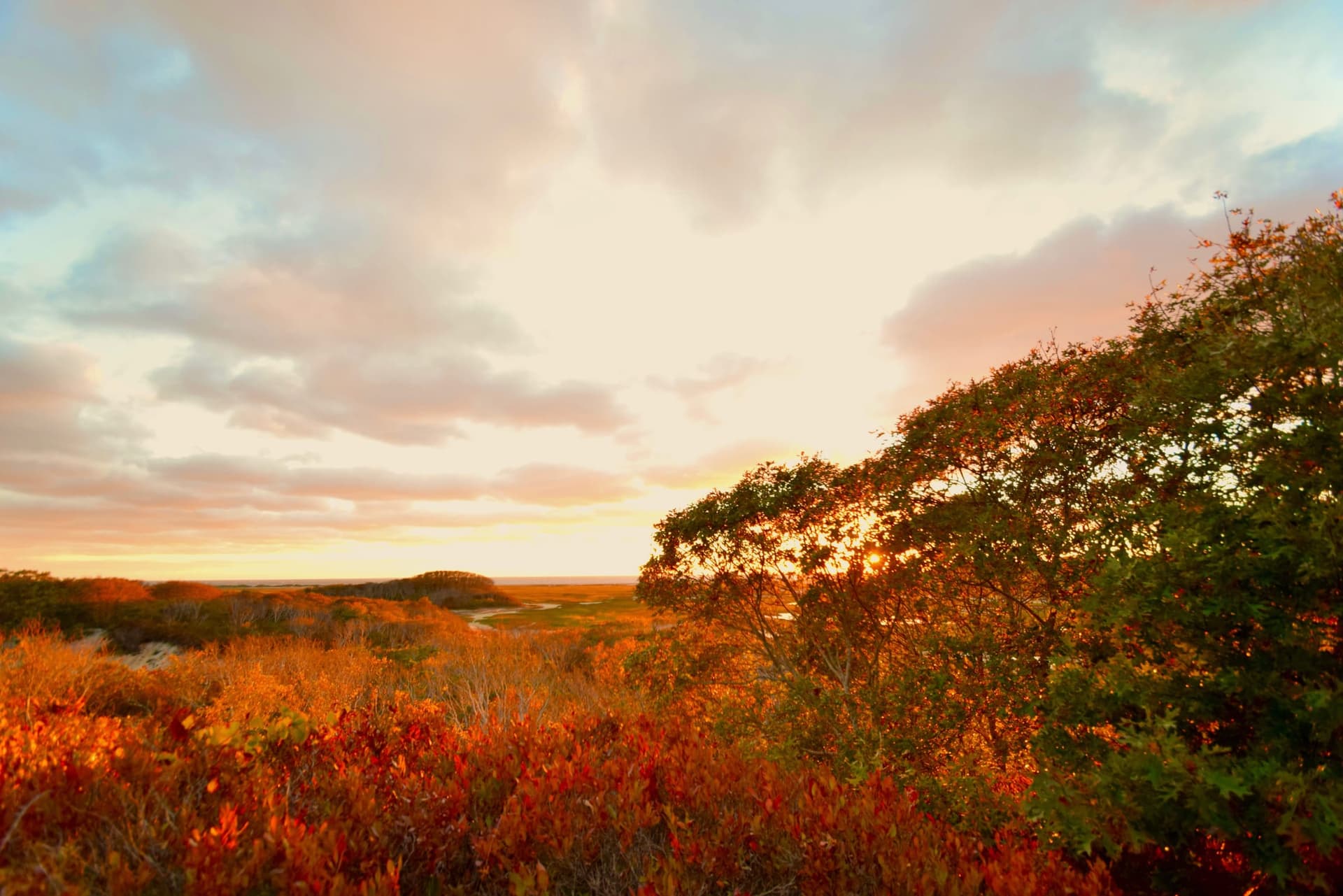 Cape Cod buyer's guide cover