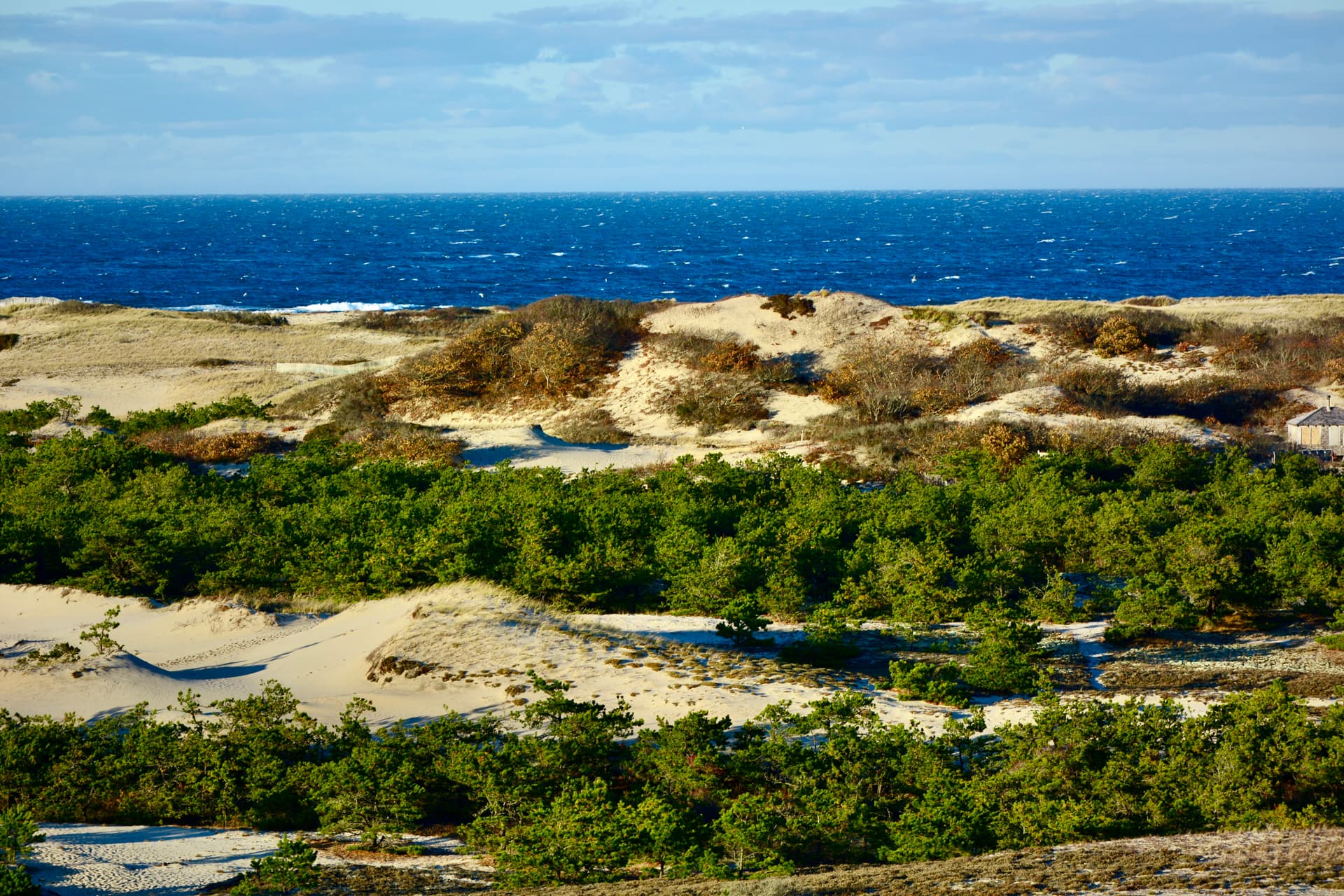 Neighborhood comparison guide