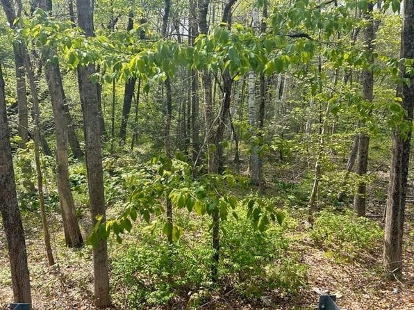 45 Fox Hill Rd