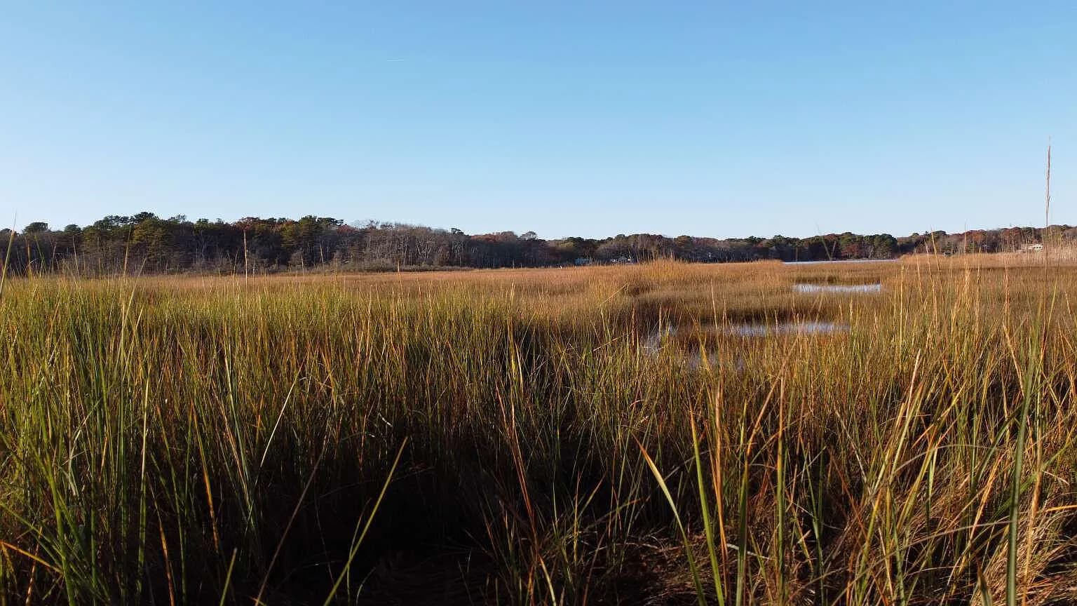 27 Angus Avenue - Photo 5