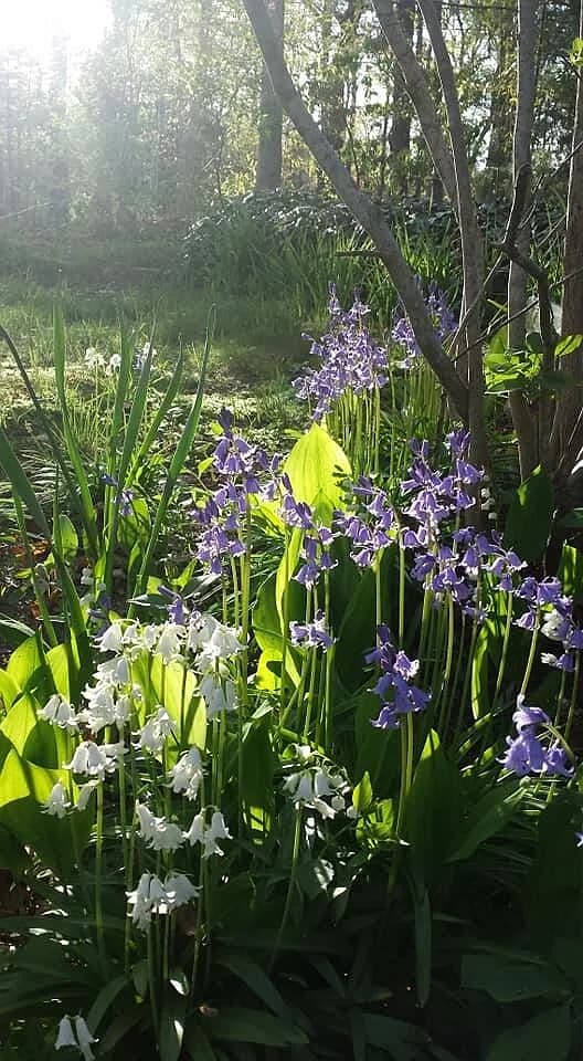 11 Webquish Lane - Photo 3