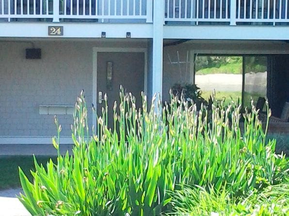 24 Old Colony Way APT 19