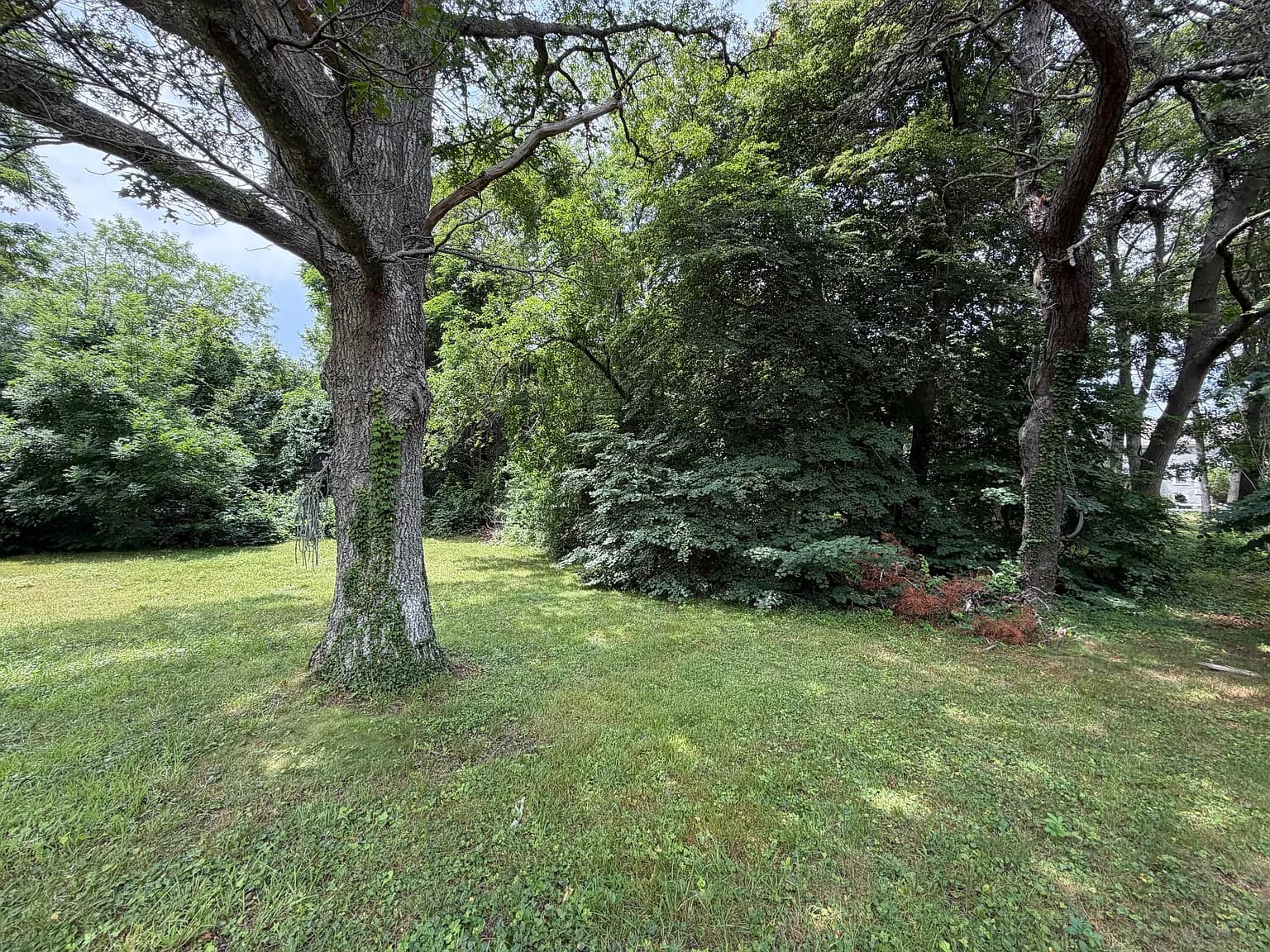 21 Tobey Way - Photo 3