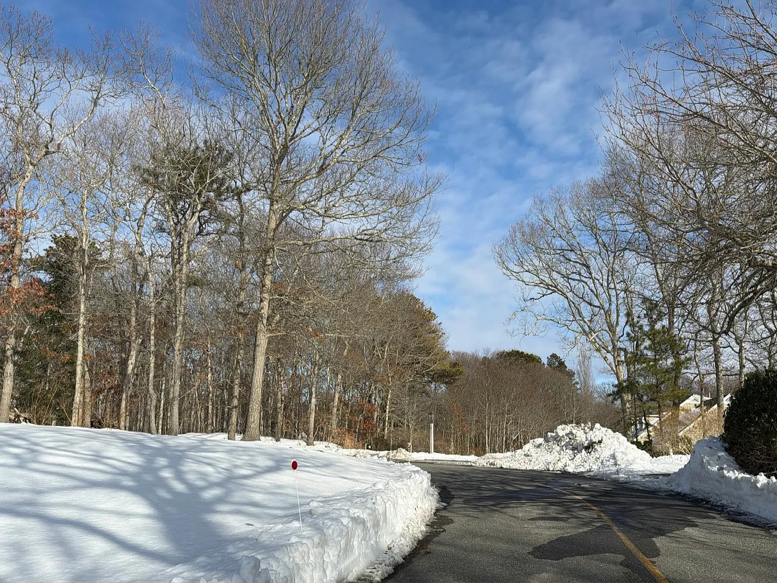 37 Calvin Dr - Photo 4