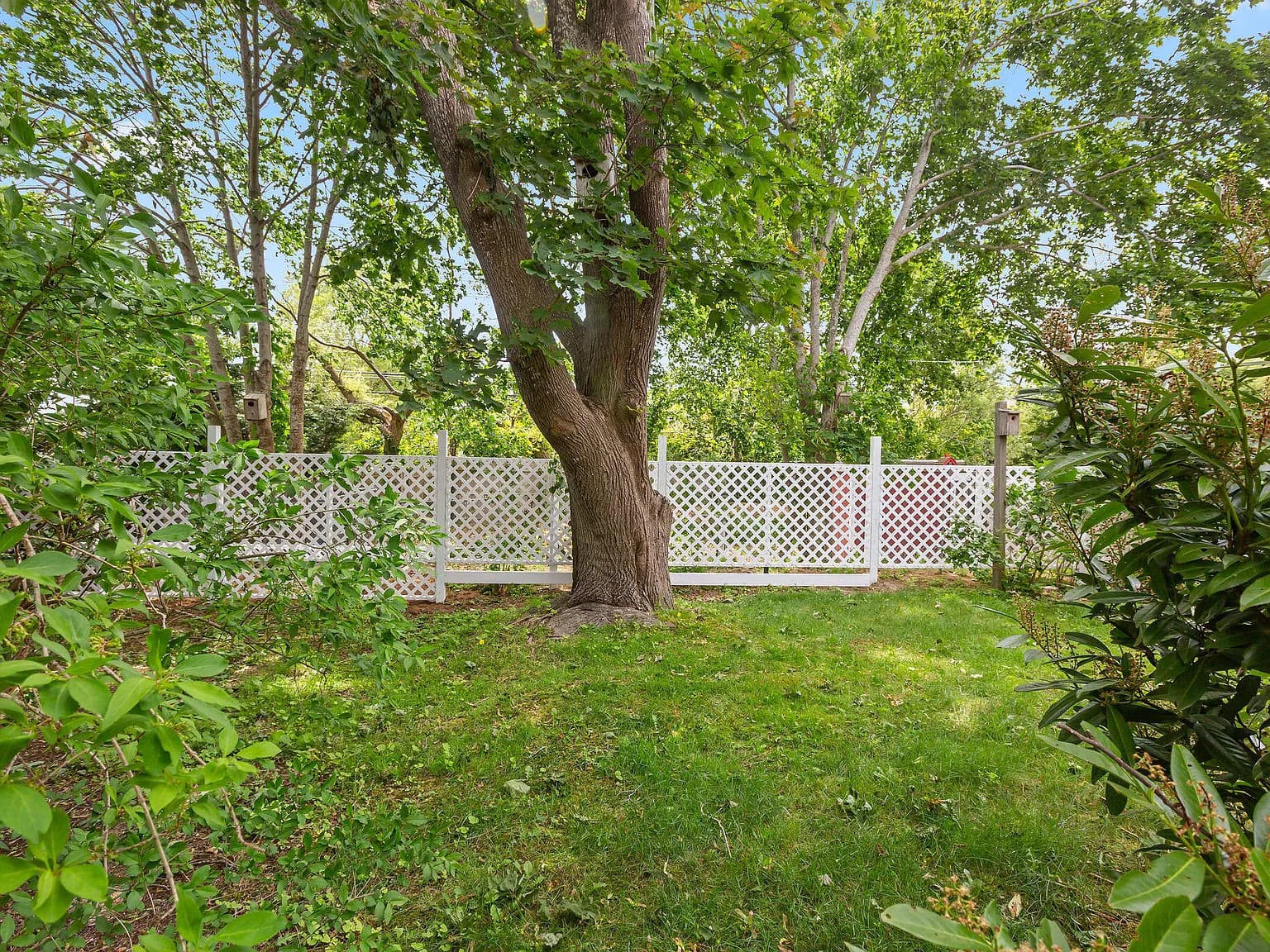 22 Browne Street - Photo 6