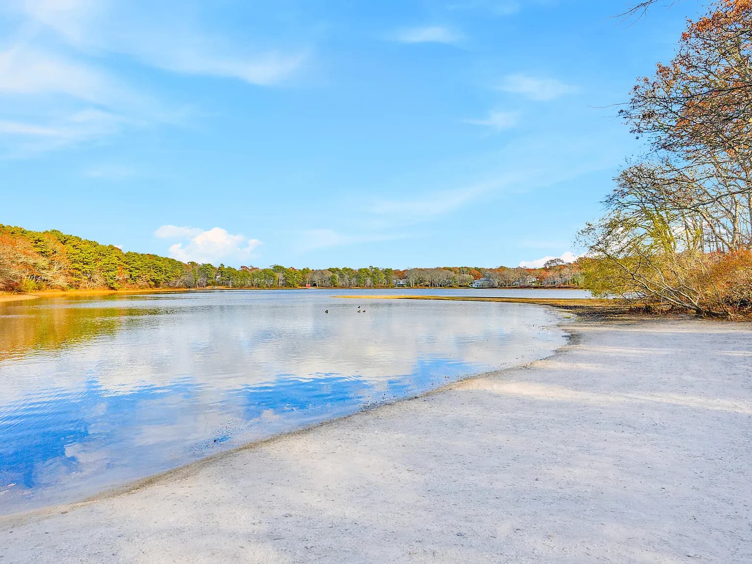 11 Elizabeth Lane - Photo 1