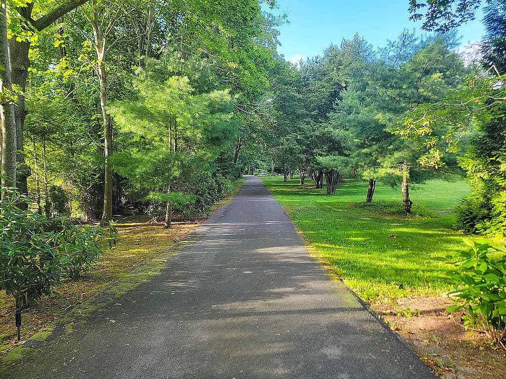 4390 Main Street - Photo 4