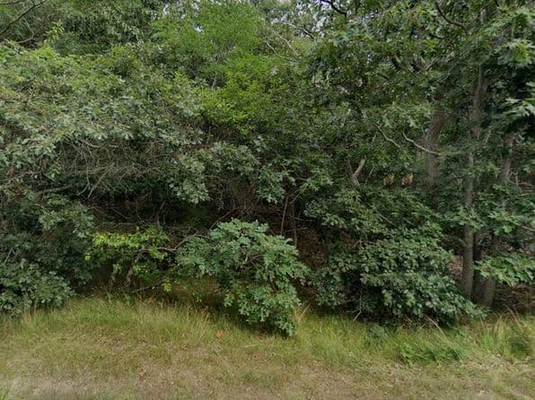 415 Cove Rd, Wellfleet