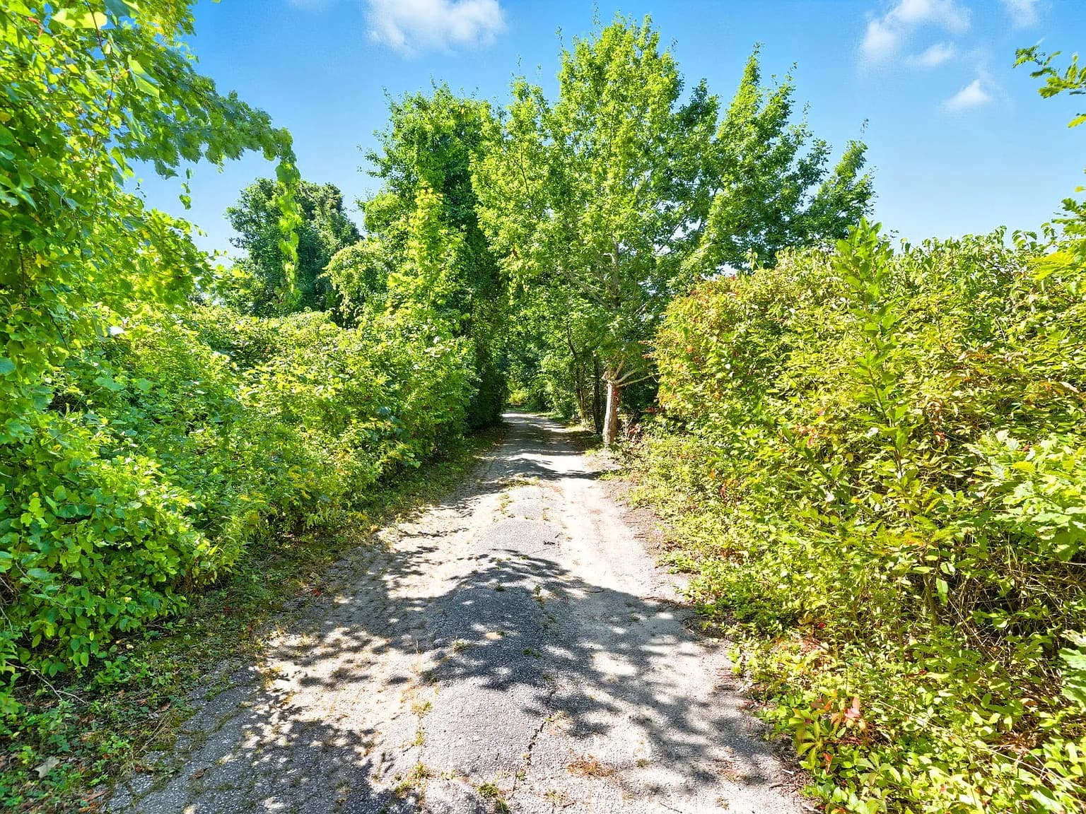 59 HOPE Lane - Photo 2