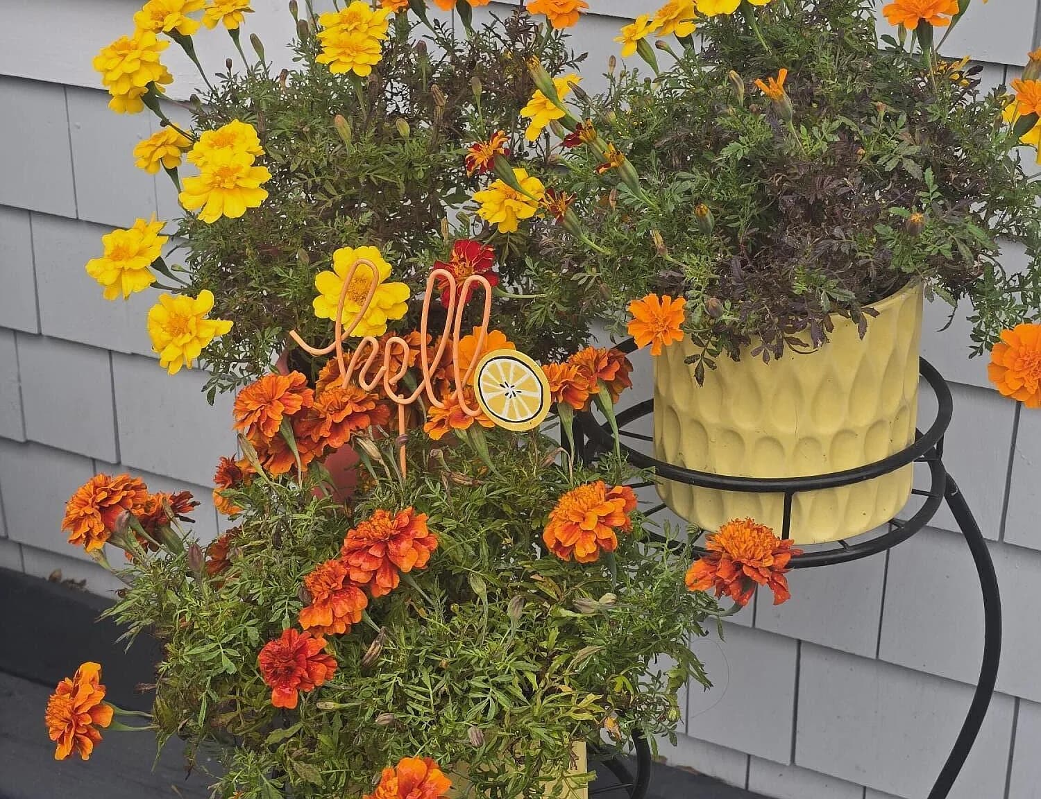 292 Route 28 #7 - Photo 3