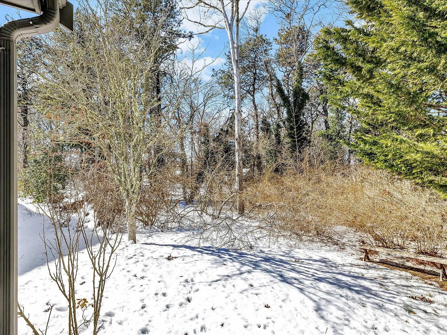 14 Harold Street APT 13A - Photo 6