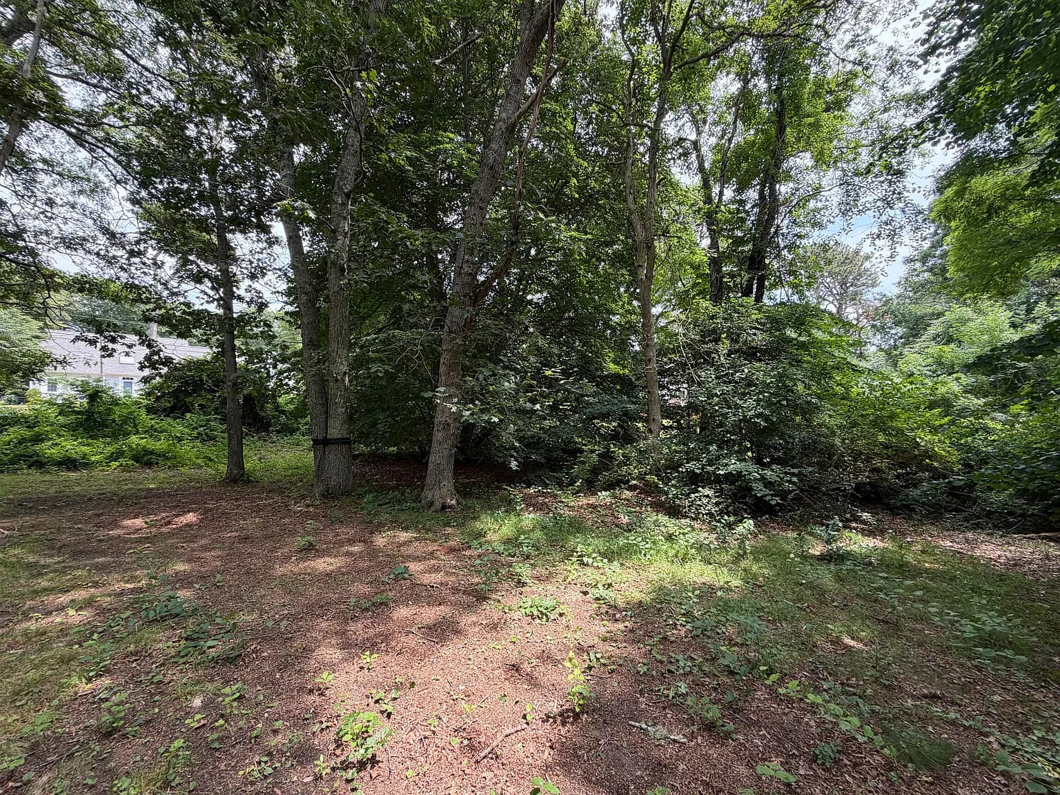 21 Tobey Way - Photo 4