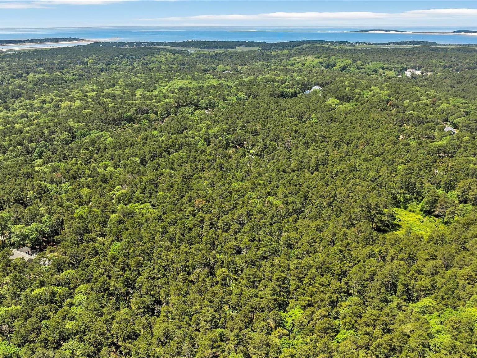 175 Delphi Path - Photo 3