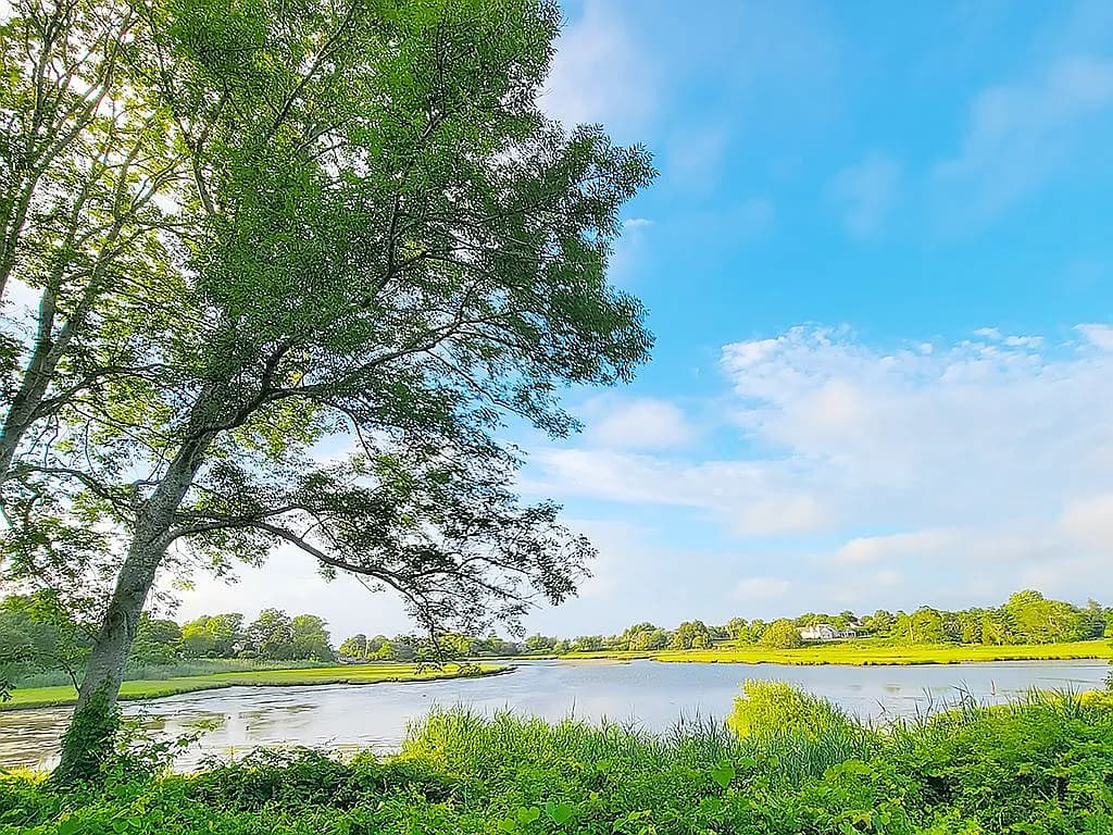 4390 Main Street - Photo 6