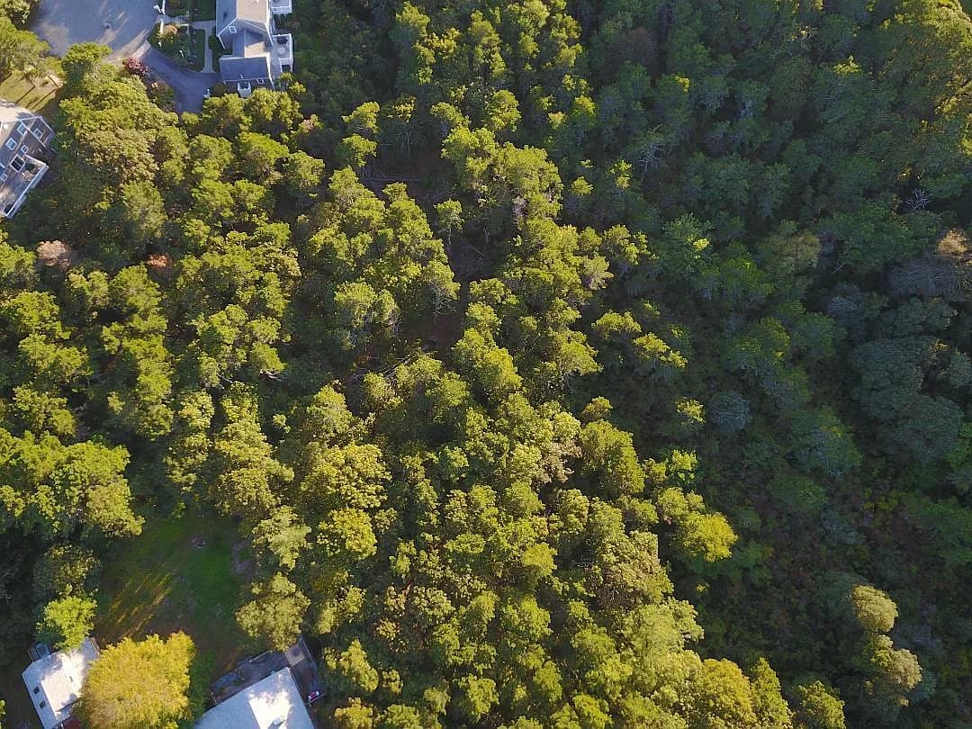 0 Evergreen Lane - Photo 2