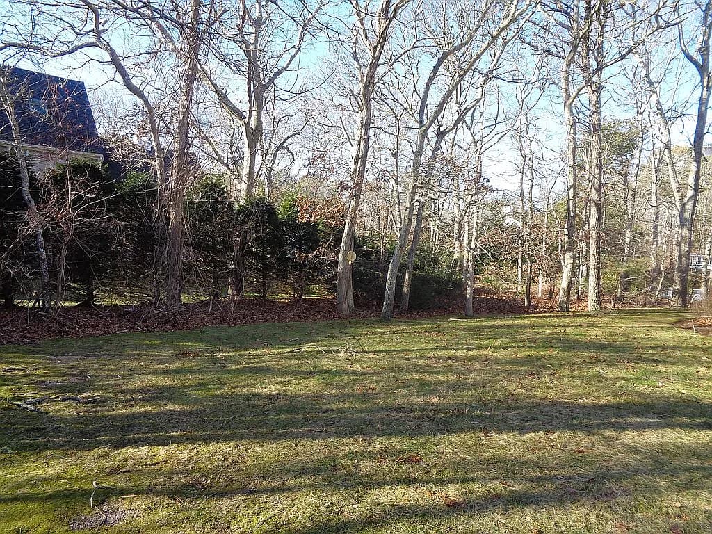 61 Hokum Rock Rd - Photo 3